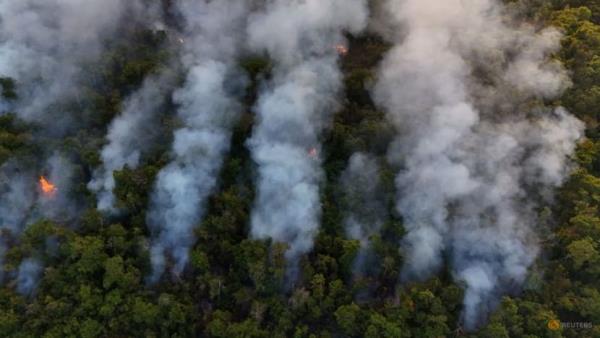 Wildfire rages outside Brazil capital