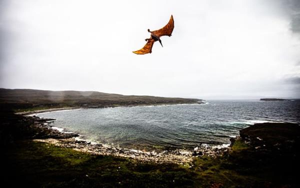 Image of a model pterosaur over the Isle of Skye