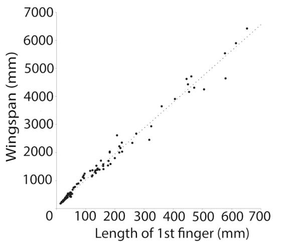 Extrapolation: scientists found a 99% correlation between the length of the first finger and the wingspan in pterosaurs